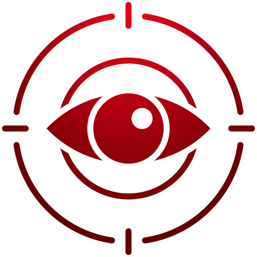 Vision